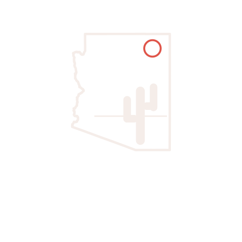 48th State Sports logo