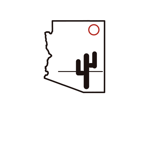 48th State Sports logo